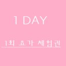 란다요가&플라잉