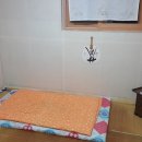 윤돌민박 이미지