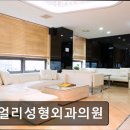 쥬얼리성형외과의원 | 서울 강남 논현동 성형외과 추천 쥬얼리성형외과의원 서울 강남 논현동 쥬얼리성형외과, 안전한 아름다움