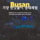 GS25 기장장안사점 | 기장 반딧불이 생태체험 예약 장안사 주차