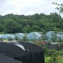 효심 농장 이미지