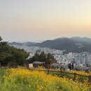 위뱅아트윅스 | 부산 황령산 전망대 야경 여행 명소 드라이브 투어 카페 블루뱅