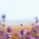 예안2 | 대구 신점 내돈내산 예안아씨당 내돈내산 솔직 후기