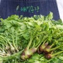 달래농장 이미지