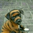 웃으면서 이미지