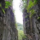 뒷골로, 뒷골1로 이미지