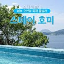 스테이 호미 네이버블로그