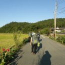 오미주유소 이미지