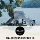 [타프 내돈내산] 헬로스X원트키X널픽셀 드래곤플라이 타프 DRAGONFLY TARP 사용 후기