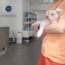 홍경태동물의료원 이미지