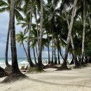 팀웨일 | 보라카이 현지 호핑투어 업체 살라맛보라카이 레드웨일 예약