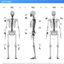 바디피트니스 | 의정부 금오동 헬스장 그룹 PT 바디피트니스 솔직후기