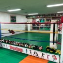 다윗복싱클럽 이미지