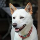 공도4로 이미지