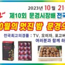 고고탁구