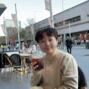 [ 1~8.Juillet ] 7박 9일 겨울 호주 여행 / 본다이비치, 휴버트 레스토랑, 왓슨스베이, 캥거루 스테이크