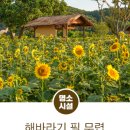 금강정육점 이미지