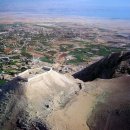 삭개오와뽕나무 이미지