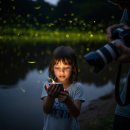 반딧불 | 코타키나발루 반딧불 투어 후기 아이와 가도 괜찮을까