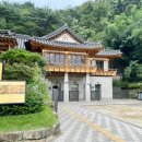 호랭이카 이미지