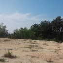 통일동산펜션 이미지