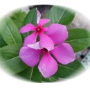 도천어린이집 이미지