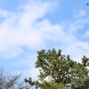 오스타펜션 이미지