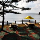 쉼이있는자유 이미지