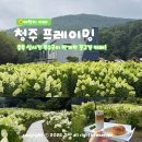 아름다운농장비밀의화원 | 충청도 수국 카페 청주 프레이밍 : 유럽 수국 축제 실시간 만개중! 주차 위치는?