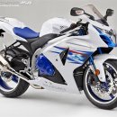 [2014 신차소식]스즈키 팬들에게 희소식!! 한정판 알천 발매!!(GSX-R1000ZL4) 이미지