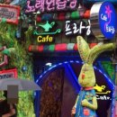 쉐이리노래연습장 이미지