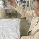 수영이불집