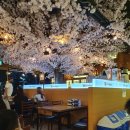 신이내린족발과보쌈 이미지