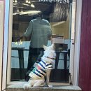 펄베이풀빌라 이미지