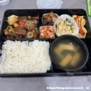 [일상포토덤프 6주차] 야탑맛집(짱가네, 미정국수0410), 진주유등축제