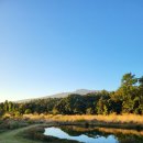 연못이 있는 풍경 | 제주 담소유 방문 후기 연못 위에 가을을 띄워둔 카페