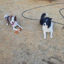 양지농장2 이미지