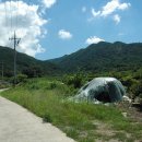 꽃봉산 아래 이미지