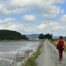 팔봉 갯벌체험장 화장실 | 코리아둘레길 서해랑갈76코스 서산구간(구도항-장구섬-팔봉갯벌체험장-호덕간사지-팔봉초등학교)2025.10.25