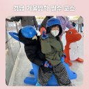 경남 진주 겨울방학 가성비 끝판왕｜피카푸 다음 코스, 진주시 야외스케이트장 솔직후기