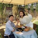 스테이 피크닉 이미지