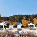 죽산 농촌체험 휴양마을 이미지