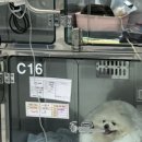 고려동물병원 이미지