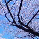 제주대학교 사라캠퍼스 이미지