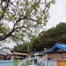 금소생태공원1 이미지