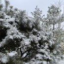 산단4길 이미지