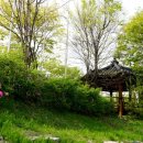 인라인롤러장 트랙 이미지