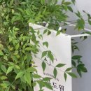 구릉도원 이미지