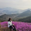 천주산 등산로 | 천주산 진달래 꽃산행 후기