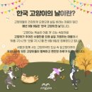 금고양이 이미지